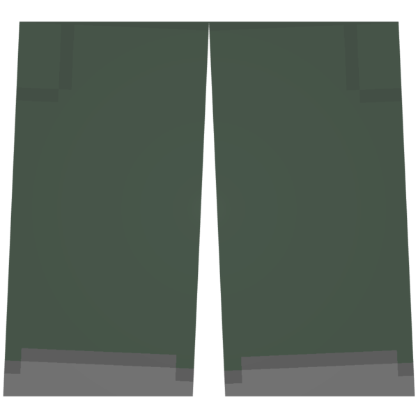 File:Cargo Pants 209.png